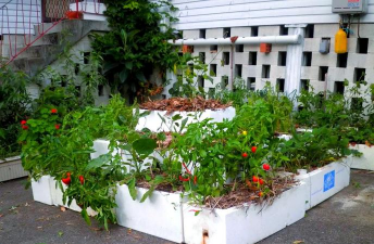 别墅园林绿化设计，打造私密空间，提升居住品质