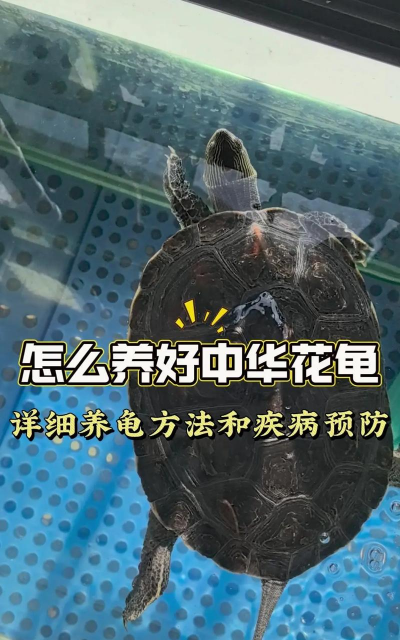 别墅园林绿化设计，打造私密空间，提升居住品质