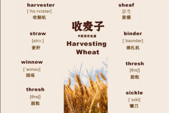 绿化景观设计，提升环境品质，创造宜人空间