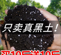 绿化景观设计，提升环境品质，创造宜人空间