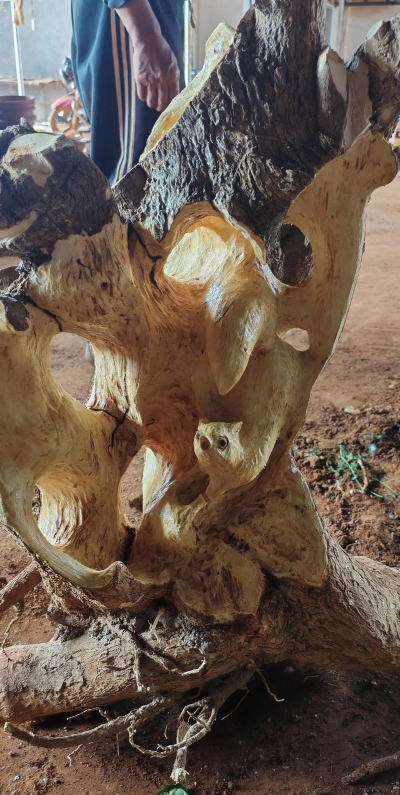 绿化景观设计，提升环境品质，创造宜人空间