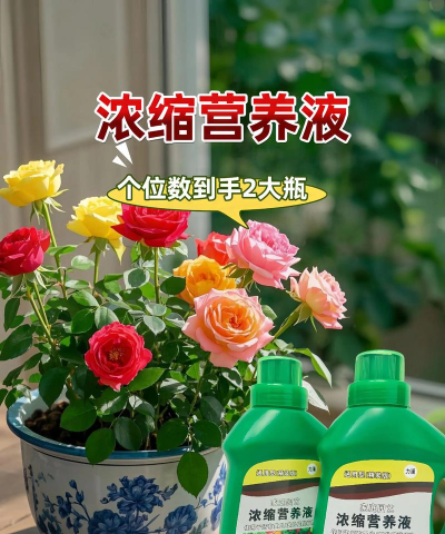 家庭养花用生根粉