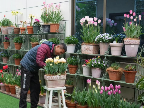 绿化景观设计，提升环境品质，创造宜人空间