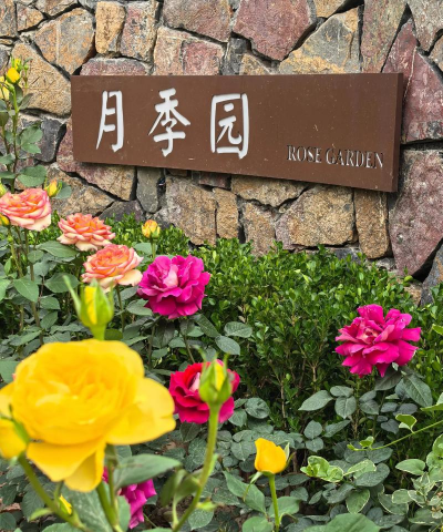 绿化景观设计，提升环境品质，创造宜人空间