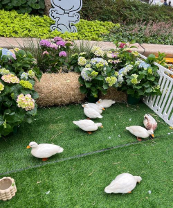 绿化景观设计，提升环境品质，创造宜人空间