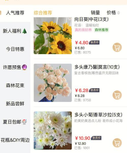 柿树虫病防治，识别常见虫害，掌握有效方法