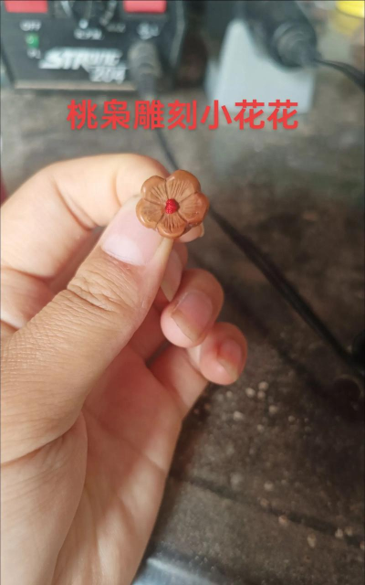 柿树虫病防治，识别常见虫害，掌握有效方法