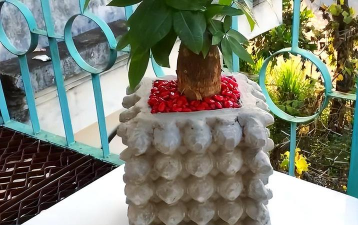 葡萄栽培，掌握关键技术，实现优质丰产