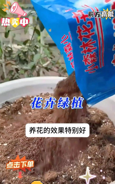 葡萄栽培，掌握关键技术，实现优质丰产