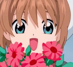 柿树虫病防治，识别常见虫害，掌握有效方法