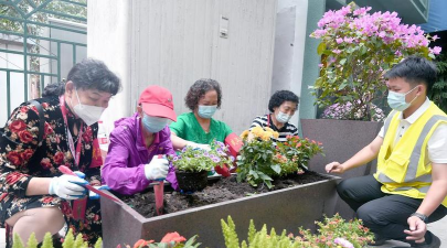 玫瑰花怎么养才不会枯萎，掌握浇水施肥技巧，轻松延长花期