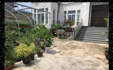 玫瑰花怎么养才不会枯萎，掌握浇水施肥技巧，轻松延长花期