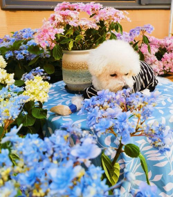 庭院景观绿化设计，打造舒适空间，提升生活品质