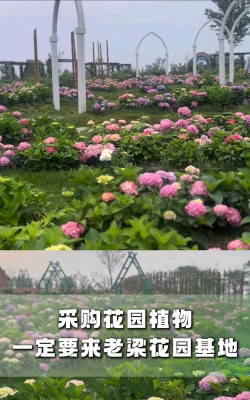 庭院景观绿化设计，打造舒适空间，提升生活品质