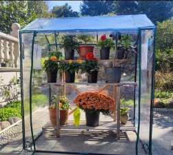 葡萄栽培，掌握关键技术，实现优质丰产