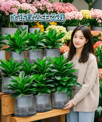 葡萄栽培，掌握关键技术，实现优质丰产