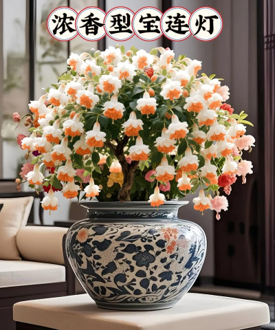 绿化景观设计，提升环境品质，创造宜人空间