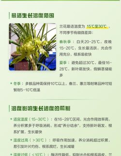 兰花在什么温度生长