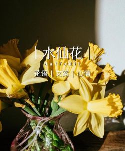 栀子花怎么养，掌握浇水技巧，避免黄叶掉苞