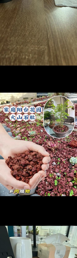 葡萄栽培，掌握关键技术，实现优质丰产