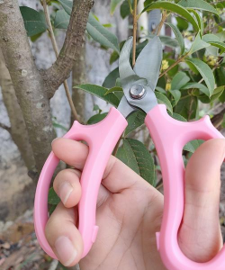 葡萄栽培，掌握关键技术，实现优质丰产