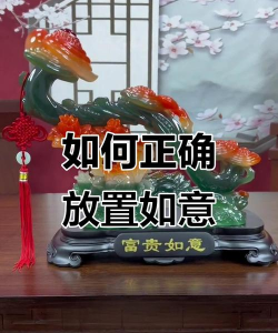 无土栽培技术，突破土壤限制，开启高效种植新篇章