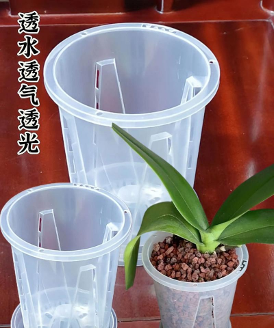 无土栽培技术，突破土壤限制，开启高效种植新篇章