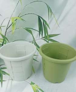 栀子花怎么养，掌握浇水技巧，避免黄叶掉苞