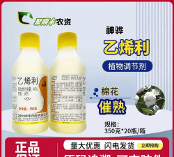 乙烯利水剂 养花