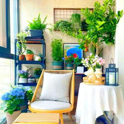 小阳台养花晾衣