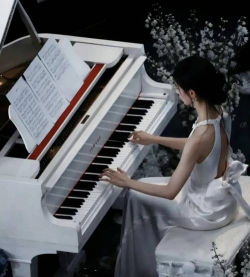 无土栽培技术，突破土壤限制，开启高效种植新篇章