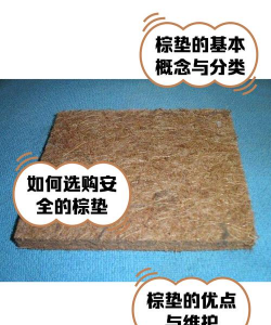 芍药花怎么养，掌握关键要点，花开更鲜艳