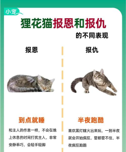 绿化景观设计，提升环境品质，创造宜人空间