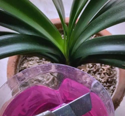 绿化景观设计，提升环境品质，创造宜人空间