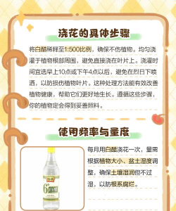 绿化景观设计，提升环境品质，创造宜人空间