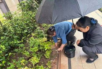 葡萄栽培，掌握关键技术，实现优质丰产