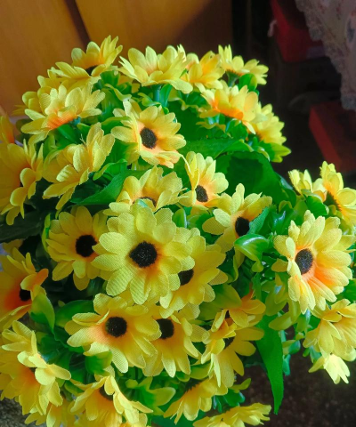 无土栽培技术，突破土壤限制，开启高效种植新篇章