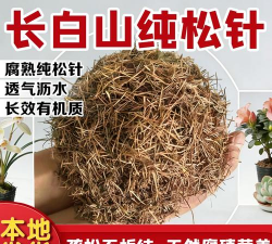 葡萄栽培，掌握关键技术，实现优质丰产