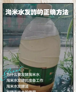 怎么发酵水