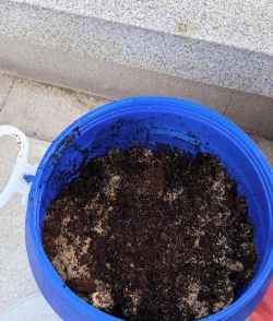 阳台养花泥肥料