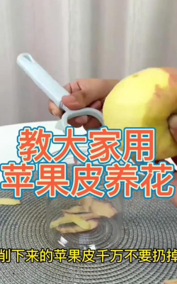 怎么用苹果养花