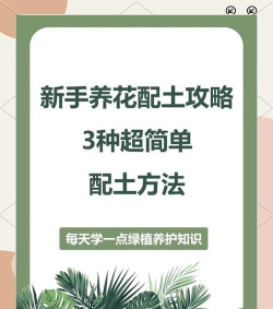 芍药花怎么养，掌握关键要点，花开更鲜艳