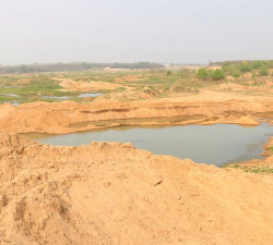 葡萄栽培，掌握关键技术，实现优质丰产