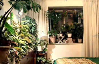 葡萄栽培，掌握关键技术，实现优质丰产