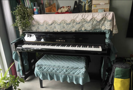 葡萄栽培，掌握关键技术，实现优质丰产