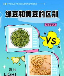 绿豆如何分辨实豆