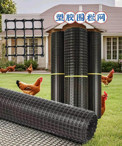 芍药花怎么养，掌握关键要点，花开更鲜艳