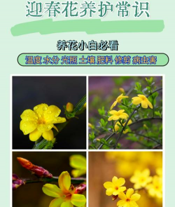 别墅园林绿化设计，打造私密空间，提升居住品质