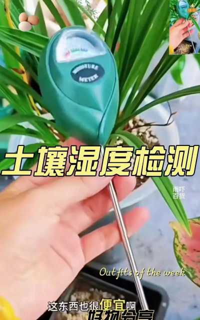 别墅园林绿化设计，打造私密空间，提升居住品质