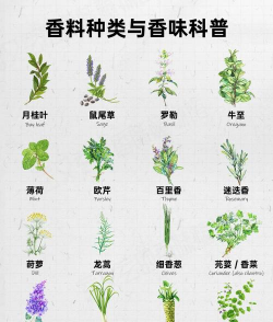 葡萄栽培，掌握关键技术，实现优质丰产